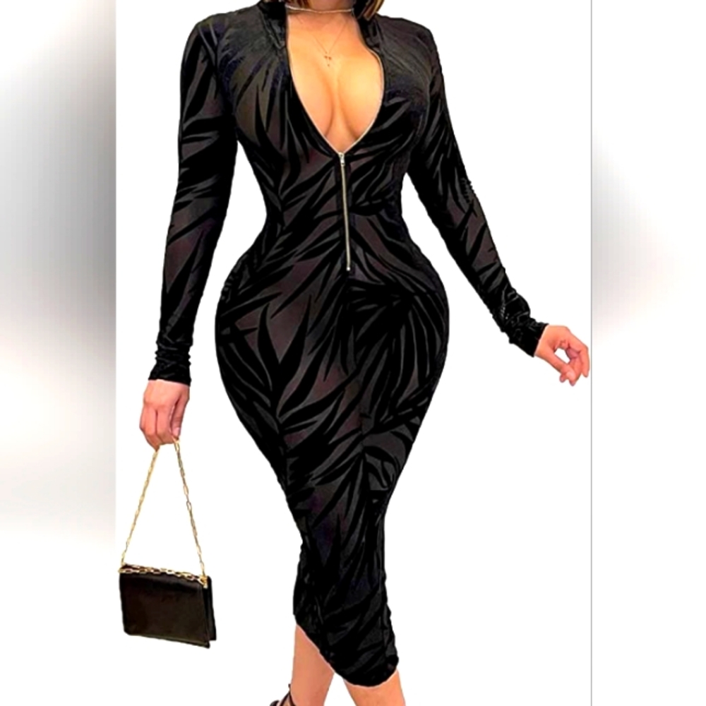 Sheer mesh bodycon dress with zipper